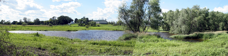 Pond102
