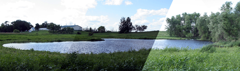 Pond202