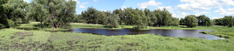 Pond3