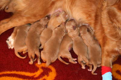 one day oold3