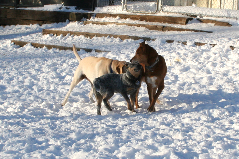 Charlie, Radar and Jas
