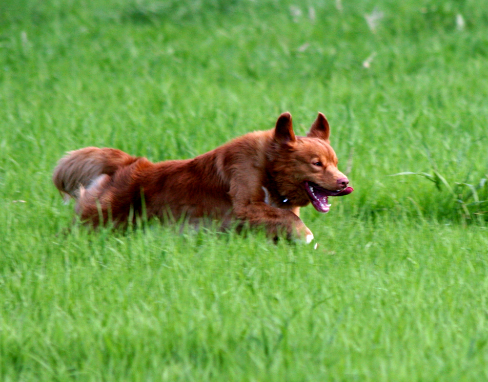 Freeze going for his bird2