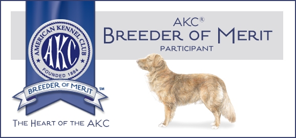 NovaScotiaDuckTolling_BoM_Banner