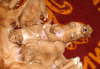 csleeping brothers