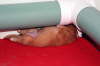 csleeping under the rail