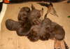 l2weeks old today
